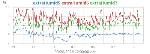 yearhumext2